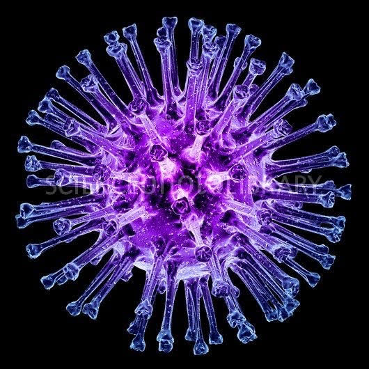 610 cases of the new variant XBB1.16 of Covid have been detected in India : INSACOG
