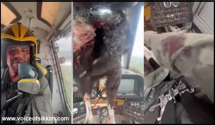 Bloodied Pilot Safely Lands Aircraft After Bird Collides with Windshield