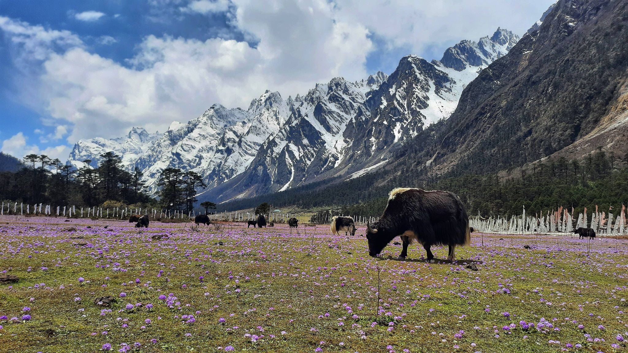 Sikkim Witnesses a Spike in Tourist Arrivals in Q1 2024