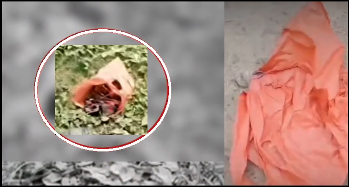 Newborn Baby Girl Found At Isolated Compound in Shivmandir Area