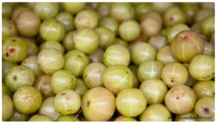 10 Health Benefits of Eating 1 Amla Daily on an Empty Stomach
