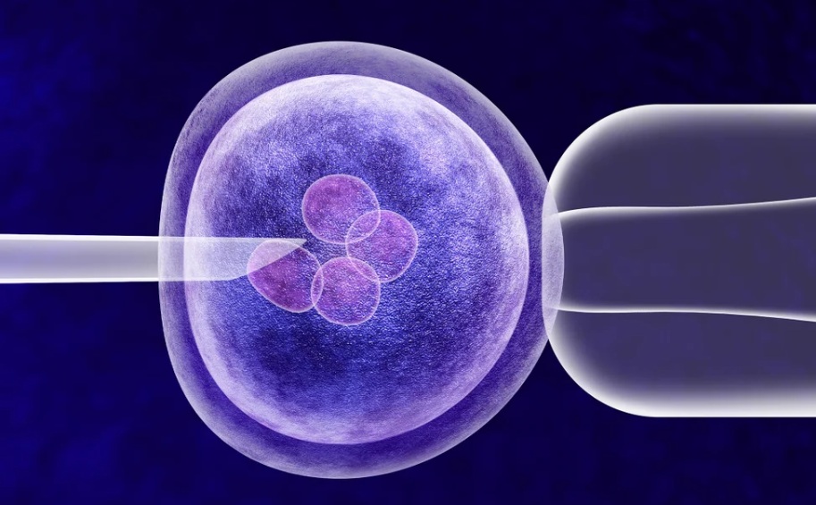 British Pioneers “Three-Parent IVF,” Welcoming Healthy Babies Free of Genetic Disease