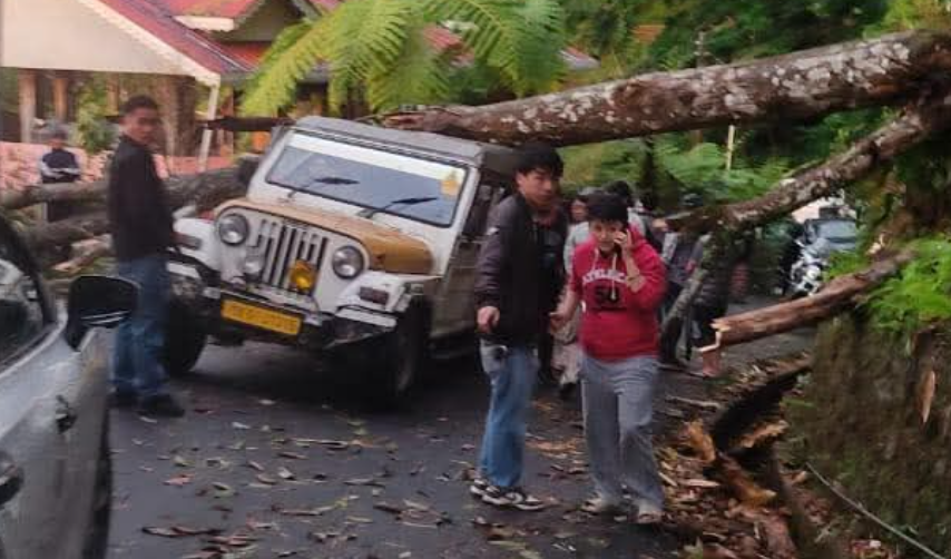 Severe Storm in Sikkim Leaves One Dead, Three Injured After Trees Collapse in Separate Incidents