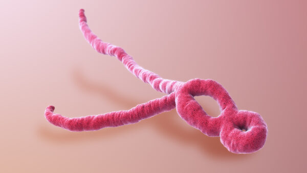 Everything You Must Know About Ebola Everything You Must Know About Ebola