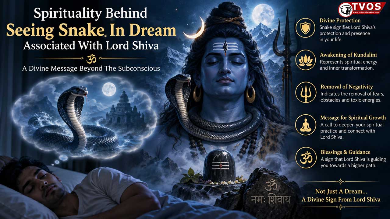 Snake in dream meaning in Hinduism and connection with Lord Shiva